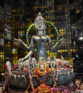 95 Pally Jodhpur Park Durgotsav